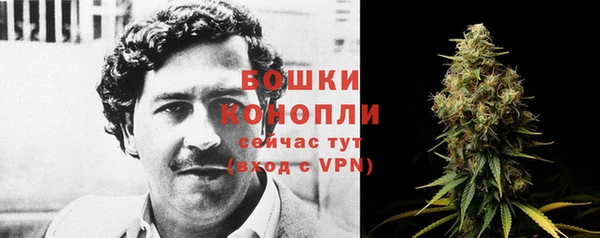меф Арсеньев