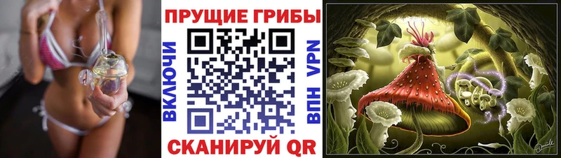 Галлюциногенные грибы Cubensis  где найти наркотики  Валдай 
